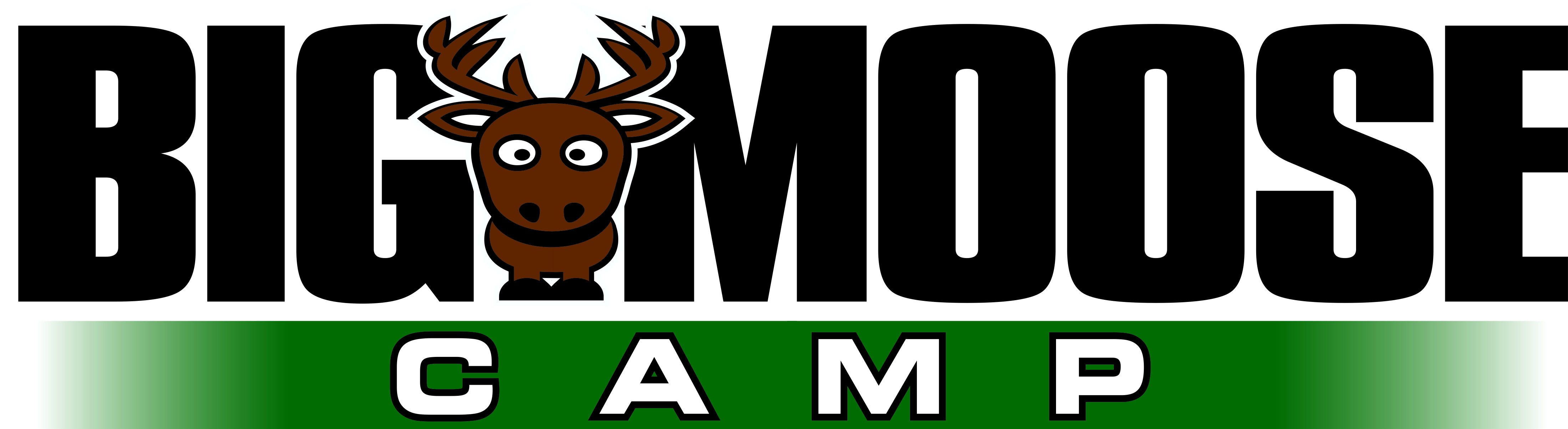 Big Moose Camp